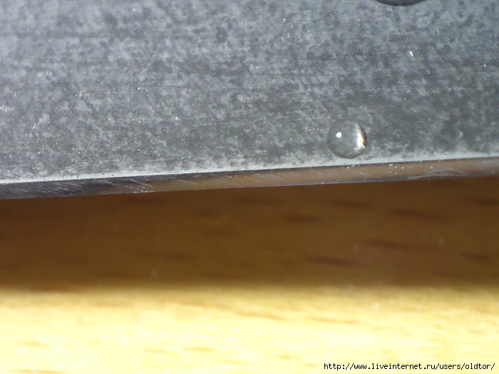 DSC03979 (700x525, 201Kb)