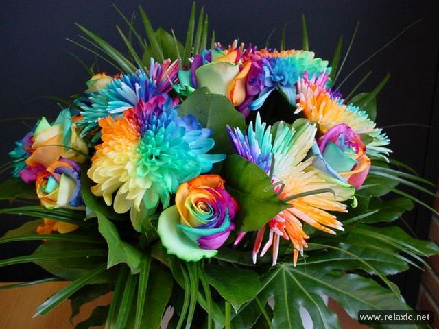 Rainbow_Flowers_022 (640x480, 64Kb)