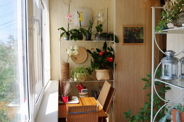 smart-russian-balcony-contest-by-ikea-plants3 (600x400, 80Kb)