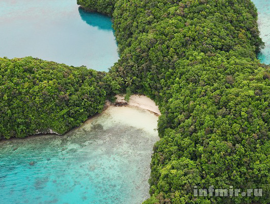 palau_island_ngerukewid4 (530x400, 150Kb)