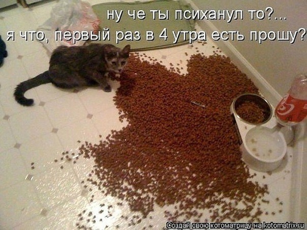 1327143695_x_517935c5 (604x453, 102Kb)