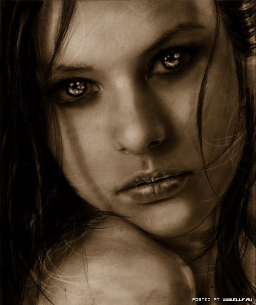 14 (504x600, 55Kb)