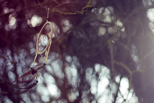 tumblr_ly3l2amNmH1r1697to1_500_large (500x333, 101Kb)