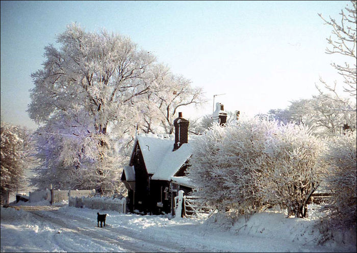 railway_cottage_snow (700x497, 94Kb)