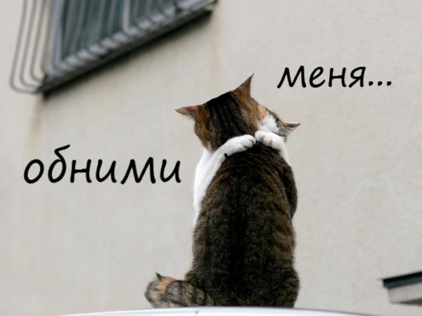 4016659_8f552476eeff628ae8263e8fb83f7a7b (600x450, 24Kb)