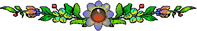 657 (395x63, 11Kb)