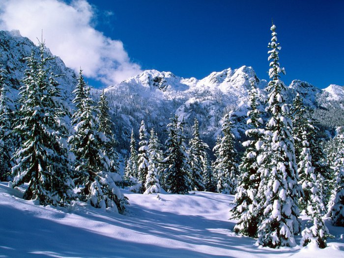 4312926_1318921015_quietwinter (700x525, 126Kb)