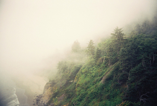 4138790_68854798_1294330863_tumblr_le7xjoabjs1qbszm3o1_500_large (500x338, 78Kb)