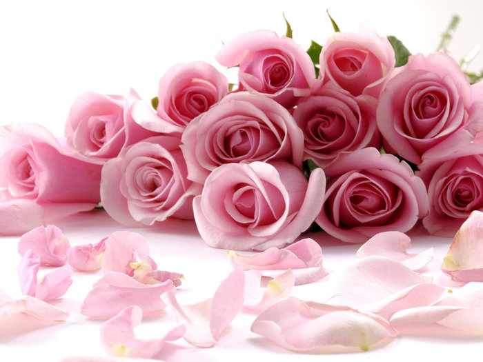 3446442_rose_104 (700x525, 75Kb)