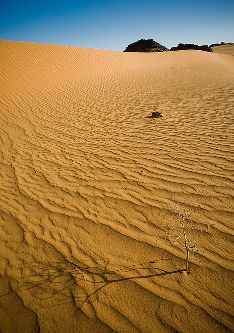 Desert_Sand_by_ChristopheCarlier (464x660, 191Kb)