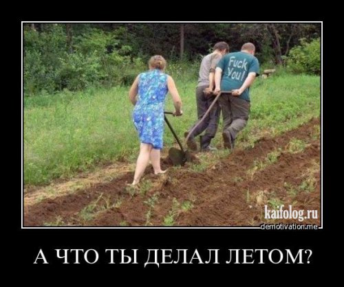 securedownload (5) (500x418, 49Kb)