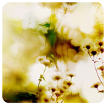  -3787 (149x150, 42Kb)