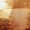tumblr_lxdf382S3b1r4mfe9o1_250 (100x100, 56Kb)