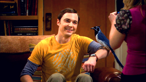 tumblr_luik7vuhLZ1r4sqsso1_500 (500x281, 159Kb)