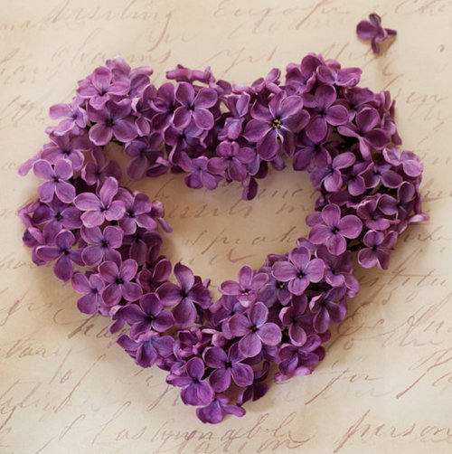 tumblr_lxhyq7Ibdj1qbo2b6o1_500_large (500x502, 68Kb)