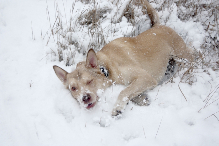 7622 (700x465, 212Kb)