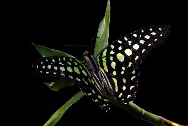 small_1727742 (600x401, 24Kb)