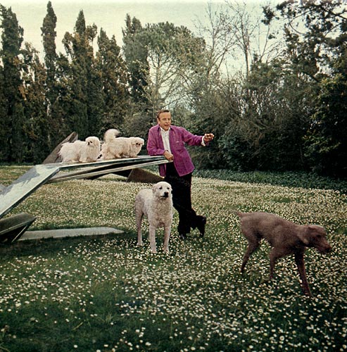 zeffgardendogs (1) (493x500, 90Kb)