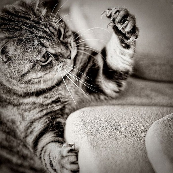  (600x600, 173Kb)