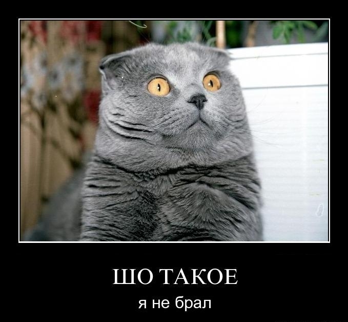 a023a8 (679x627, 137Kb)