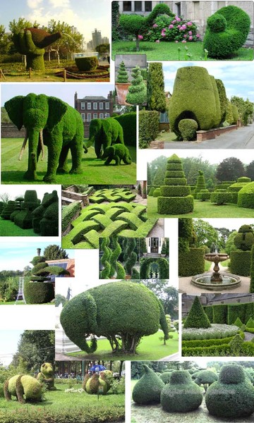 topiary (2) (360x600, 95Kb)