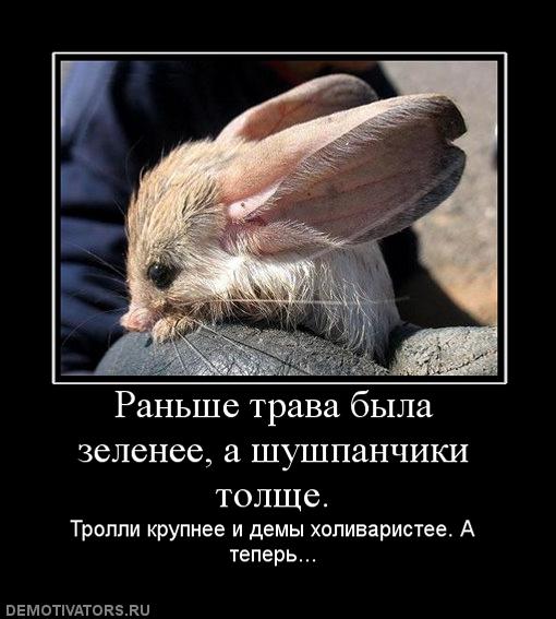 1979159_989295_ranshetravabyilazeleneeashushpanchikitolsche (510x567, 45Kb)