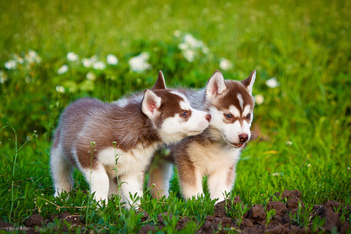 tumblr_lvoy3sYGtF1qmjsoco1_500 (500x334, 148Kb)
