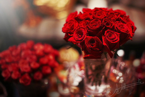 tumblr_lvls95U3uD1r2damao1_500 (500x333, 68Kb)