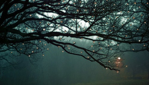 tumblr_lvfsc7fiEQ1r2240to1_500 (499x287, 57Kb)
