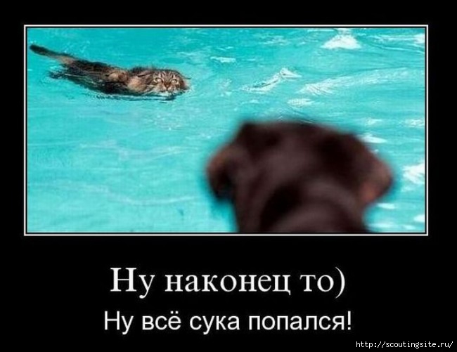 thumb_78_020bf7b017d1e9a5878a5d107a626411 (650x501, 107Kb)