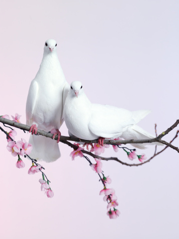 82881501_75_love_31 (359x478, 40Kb)