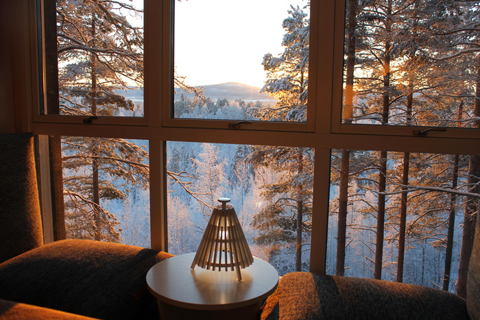 Tree hotel швеция харадс презентация