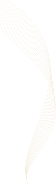 133 (212x700, 52Kb)