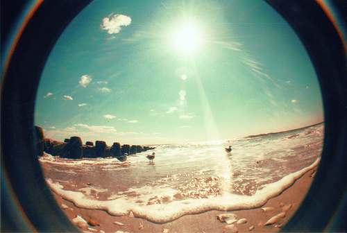 80745331_4518416_tumblr_lk492dTu431qaqbmlo1_500_large (500x336, 167Kb)