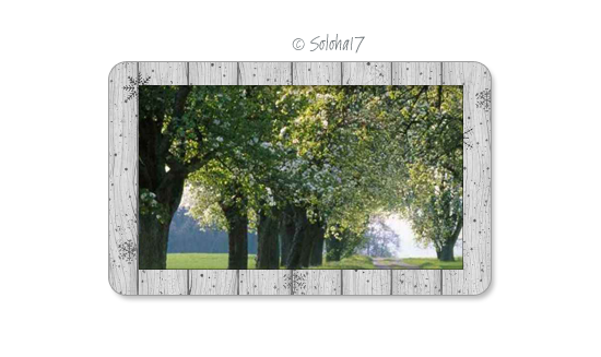 4220875_psd__shema_oboi_i_t_p_ (550x327, 166Kb)