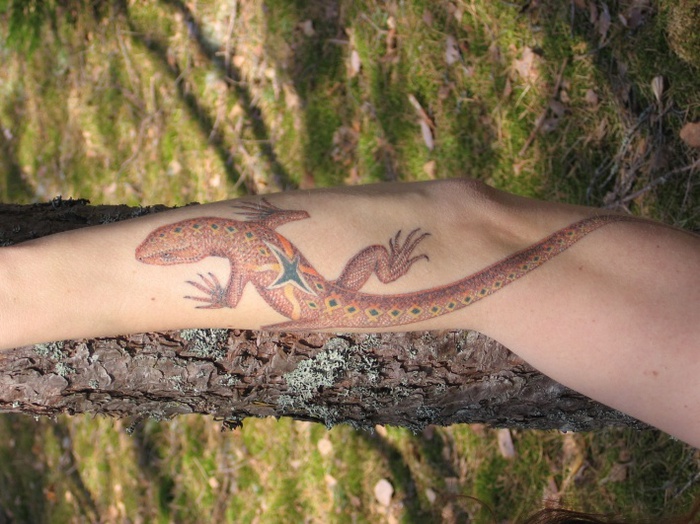 1325331321_IMG_03725 (700x524, 152Kb)