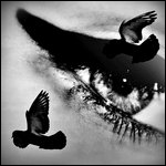 1329249704_like_a_bird_by_8o_clock (150x150, 22Kb)