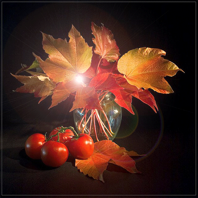 103ea9f5430b (640x640, 871Kb)