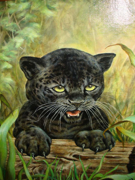 Ron_Rophar_Black_Leopard (450x600, 96Kb)