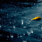  rain10 (500x500, 95Kb)