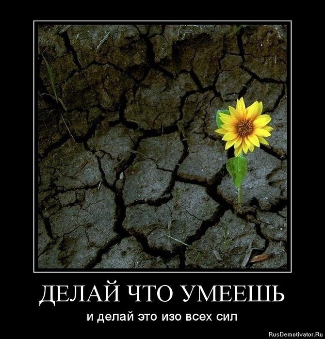 1329084065_image_e7c55919fd6ba686a717ba6b4619bcd8.png (670x700, 99Kb)