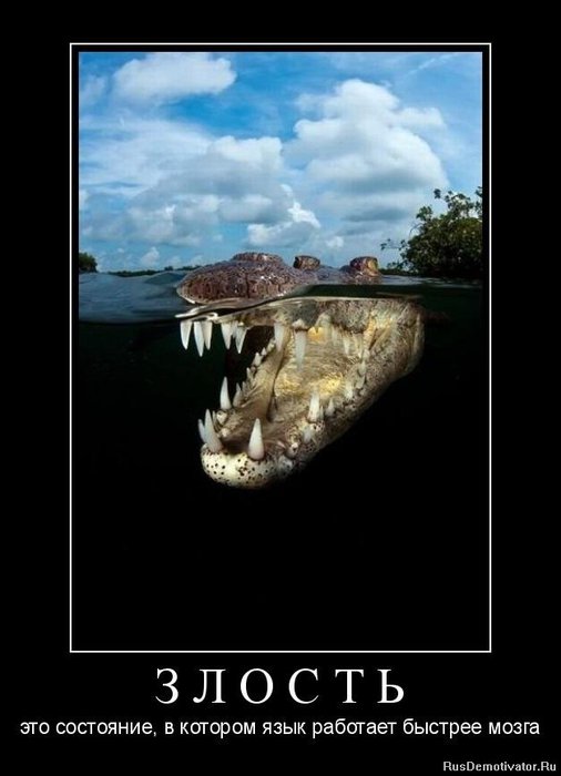 1329084005_image_cd2233143dabf58314a26155dcb45887.png (506x700, 42Kb)
