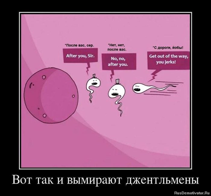 1328478657_70645309_vot-tak-i-vyimirayut-dzhentlmenyi (700x648, 44Kb)