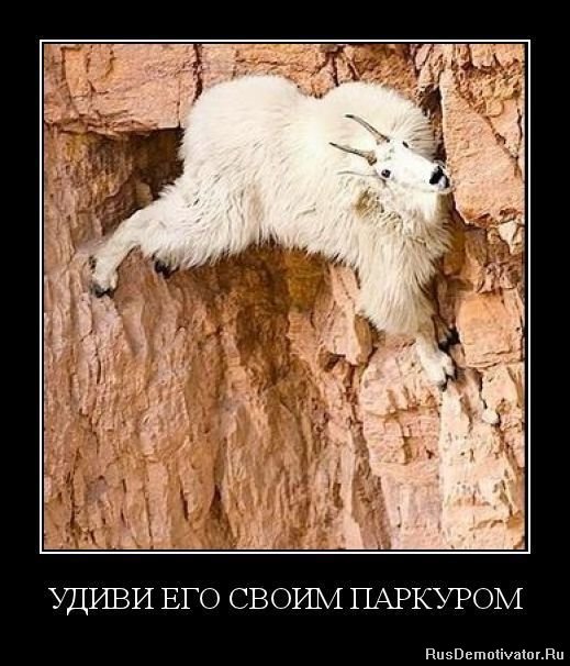 1328865468_demotivator-0077 (519x606, 70Kb)