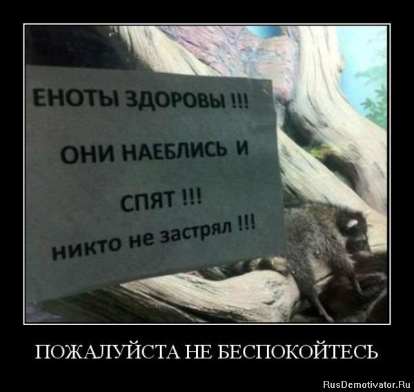 1328865458_005 (600x568, 46Kb)