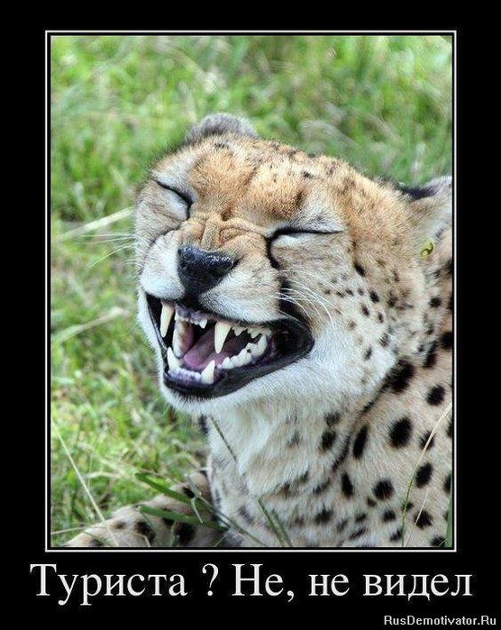 1328865480_demotivators_25 (556x700, 91Kb)