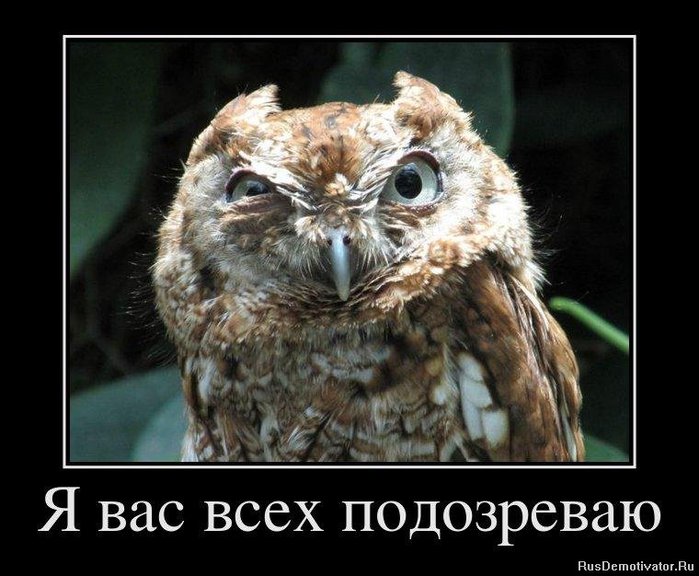 1329083140_20632762_ya-vas-vseh-podozrevayu (700x576, 76Kb)