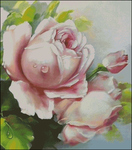  Utrinna roza (616x700, 466Kb)