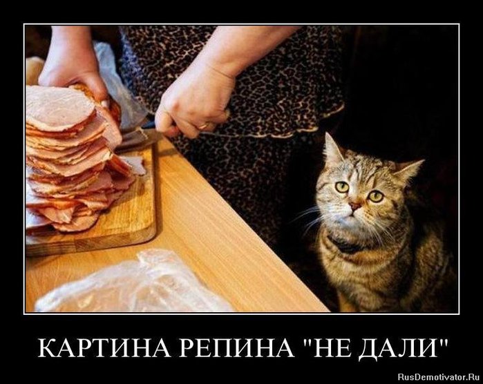 1328480476_bgdafgypynu4 (700x556, 72Kb)