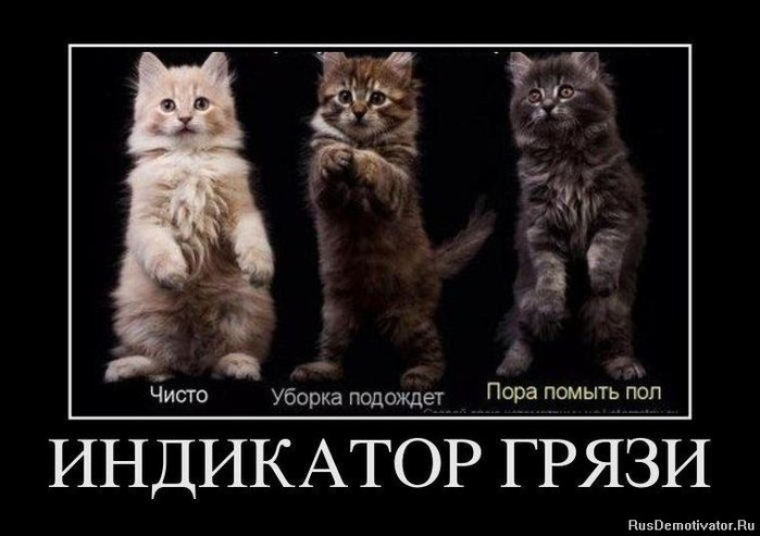 1328865526_demotivators_073 (700x493, 51Kb)